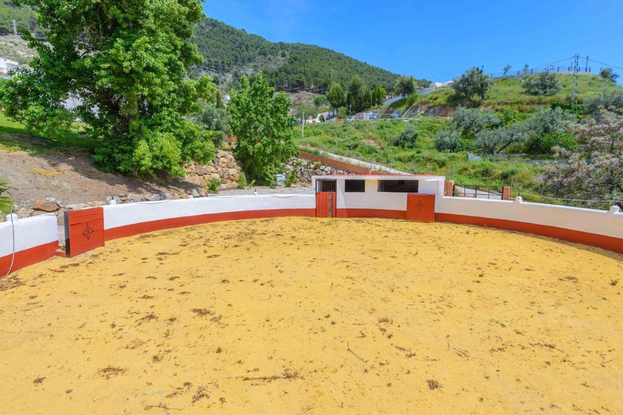 Casa Flores Con Piscina Interior Climatizada Alcaucin Exterior photo